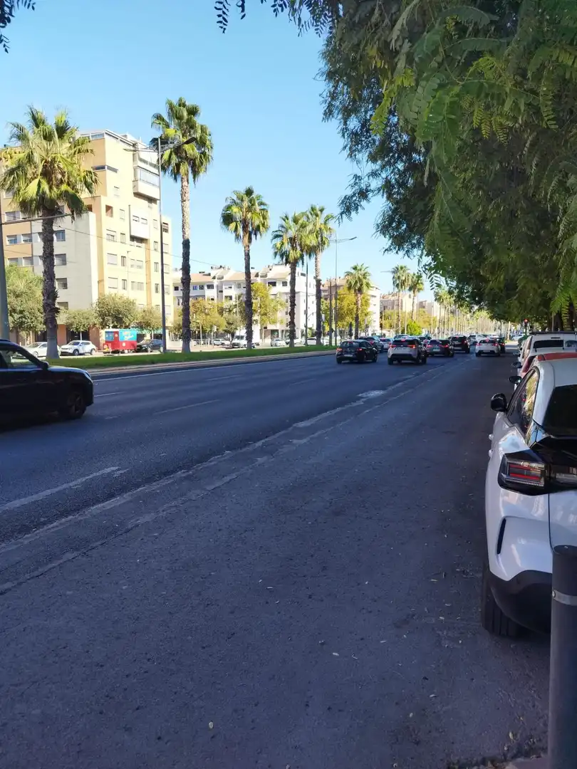 Mini appartamento con terrazza in affitto a Avenida Avenida Juan Carlos I, imagen 42