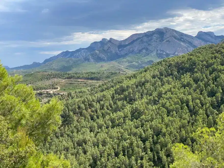 Casa adosada en venda en La Pobla de Benifassà amb Balcó