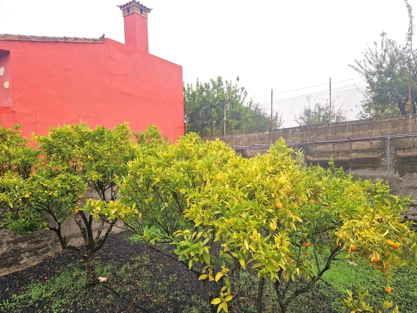 Jardín de Casa o chalet en venta en Vega de San Mateo con Jardín privado, Terraza y Internet