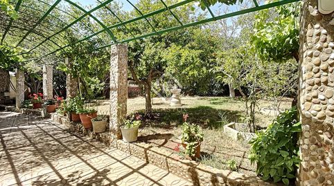 Villa de 7 dormitorios en dos parcelas en venta en Binixica Maó, Menorca, imatge 4
