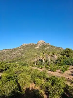 Terrain rustique à vendre à Terrenos MARXUQUERA  ALTA, imagen 14