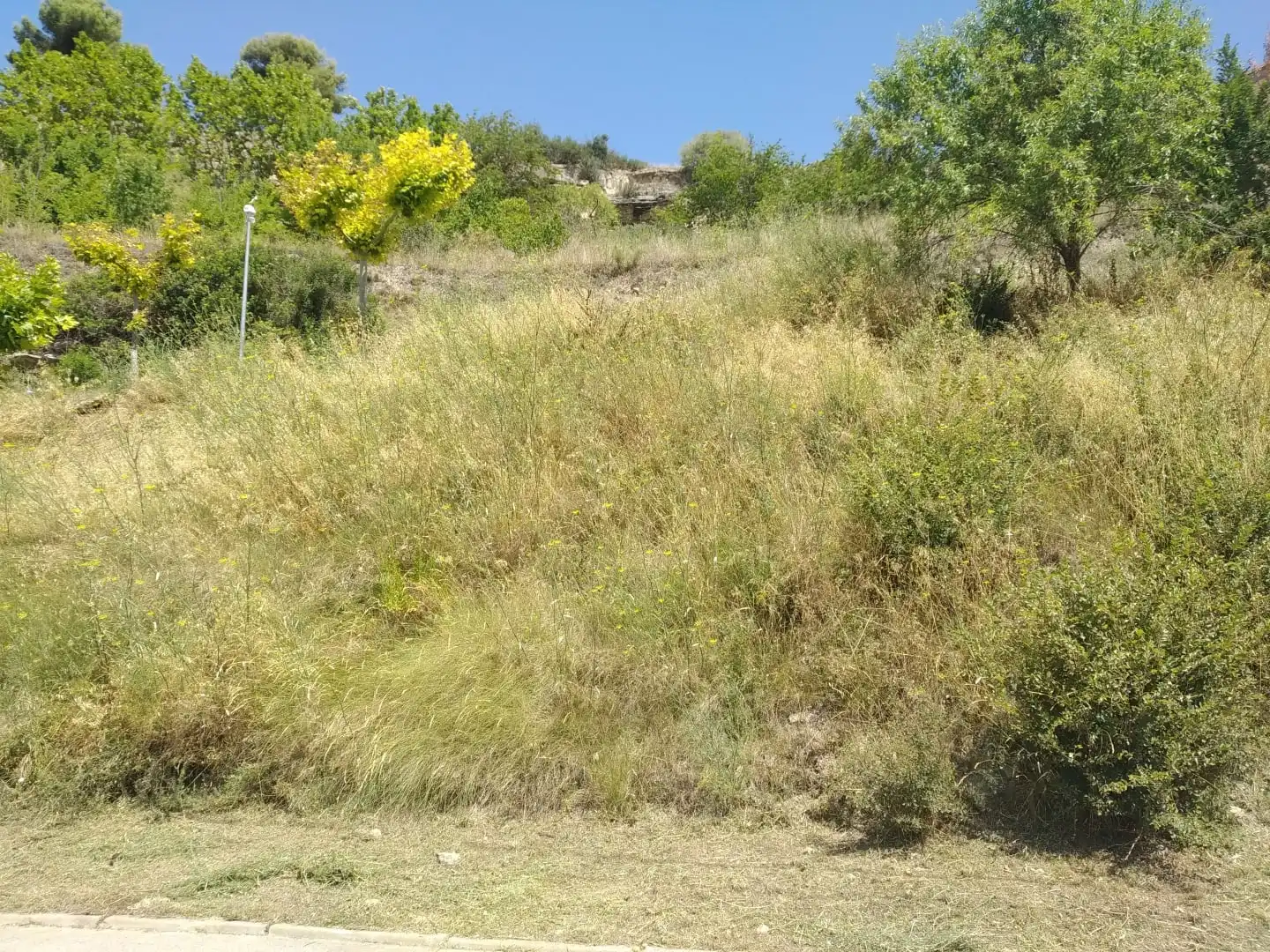 Rural land for sale in UR La Quintana Nº 14, imagen 9