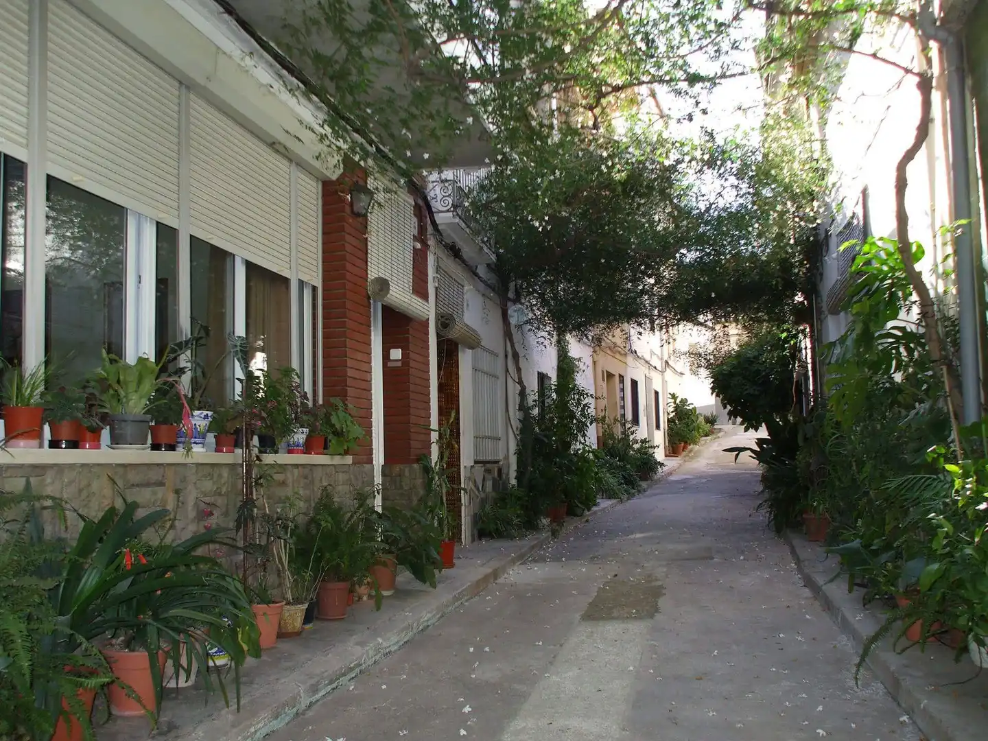 Maison mitoyenne avec terrasse à vendre à PAIS VALENCIA, imagen 39