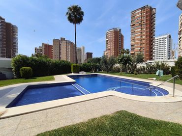 Pis amb piscina en venda a Avenida DR ORTS LLORCA