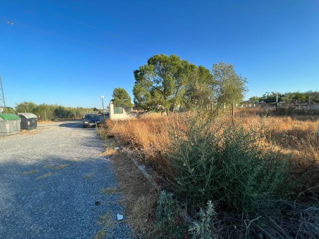 Casa-chalet en Venta en Calle Sierra De Baza en Pedanías Norte