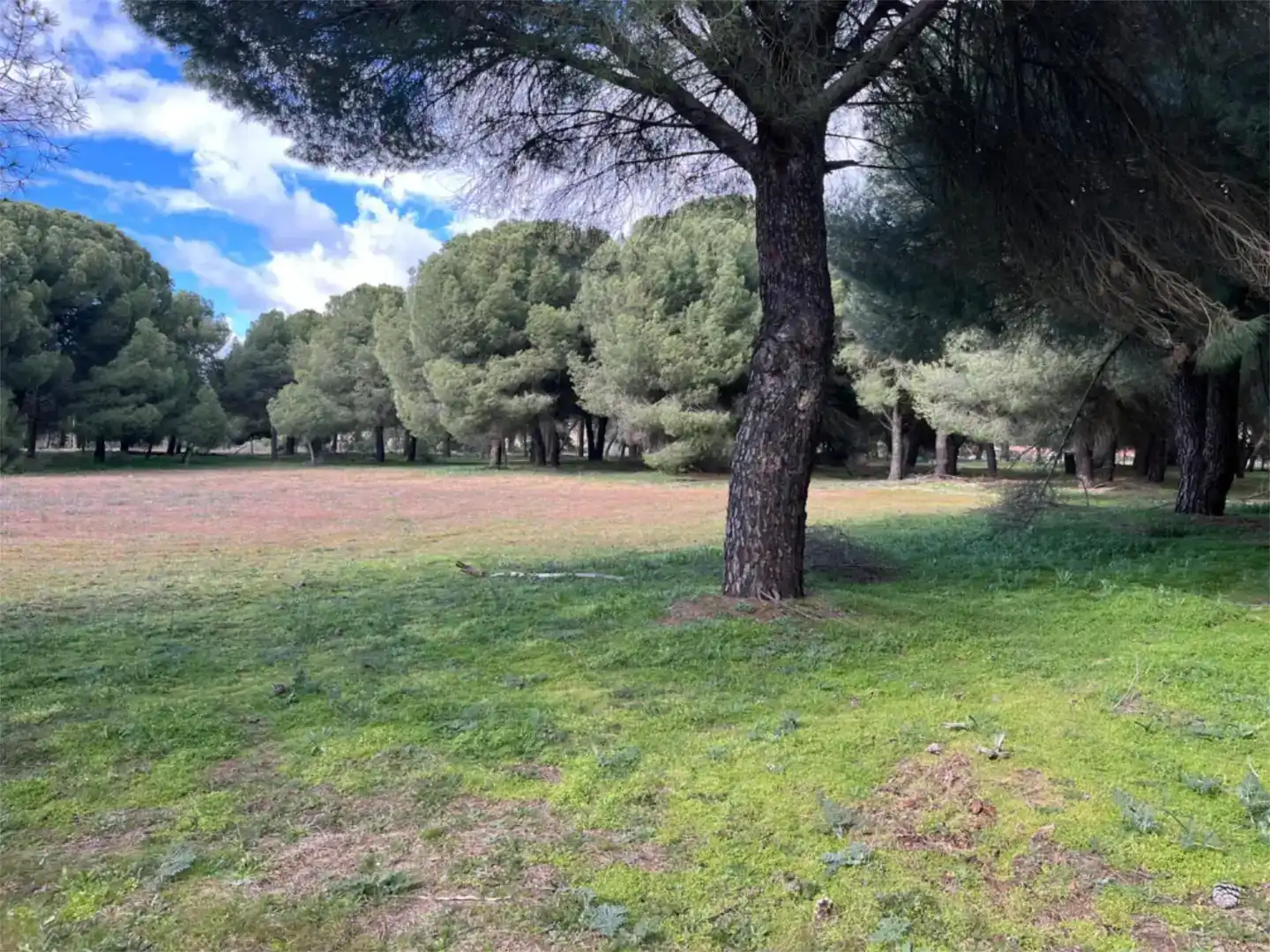 Finca rústica en venta en Alcazarén, Valladolid
