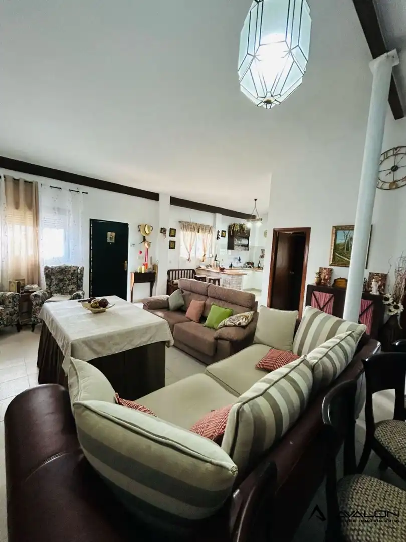 Sala d'estar de Finca rústica en venda en Aljaraque amb Jardí privat, Terrassa i Traster