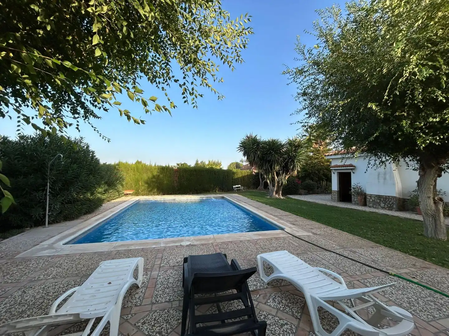 Piscina de Casa o chalet en venta en Carmona con Aire acondicionado, Terraza y Piscina