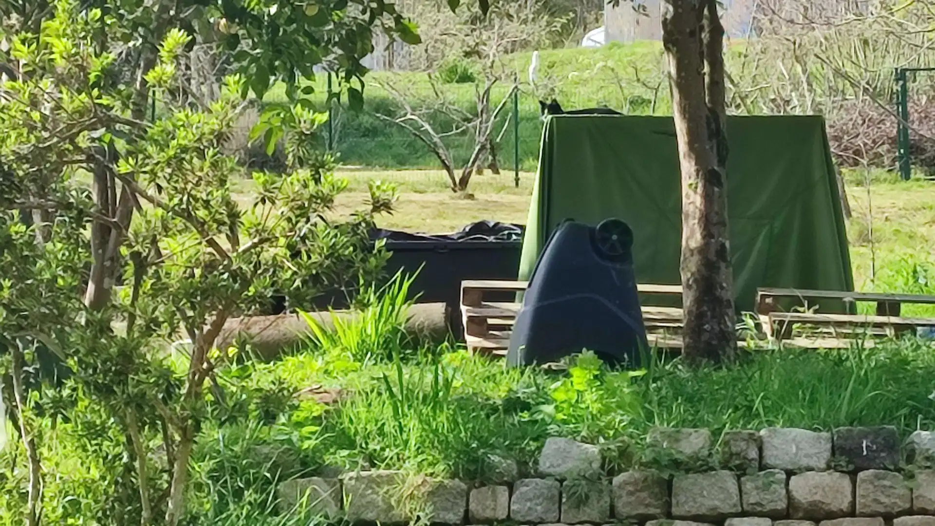 Jardín de Terreno en venta en Oleiros