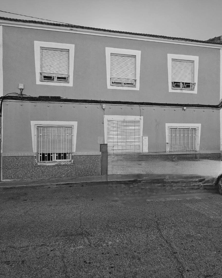 Vista exterior de Casa o xalet en venda en Ceutí amb Terrassa