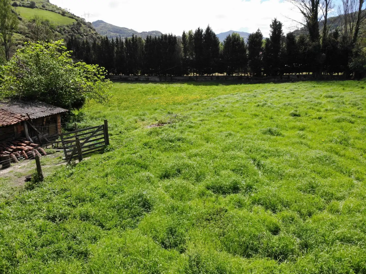 Residential for sale in Lena