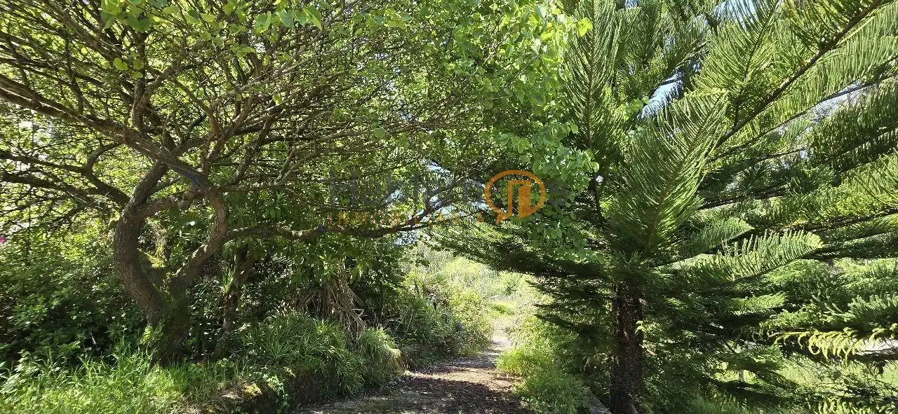 Xalet amb jardí en venda a Sobrán, imagen 41