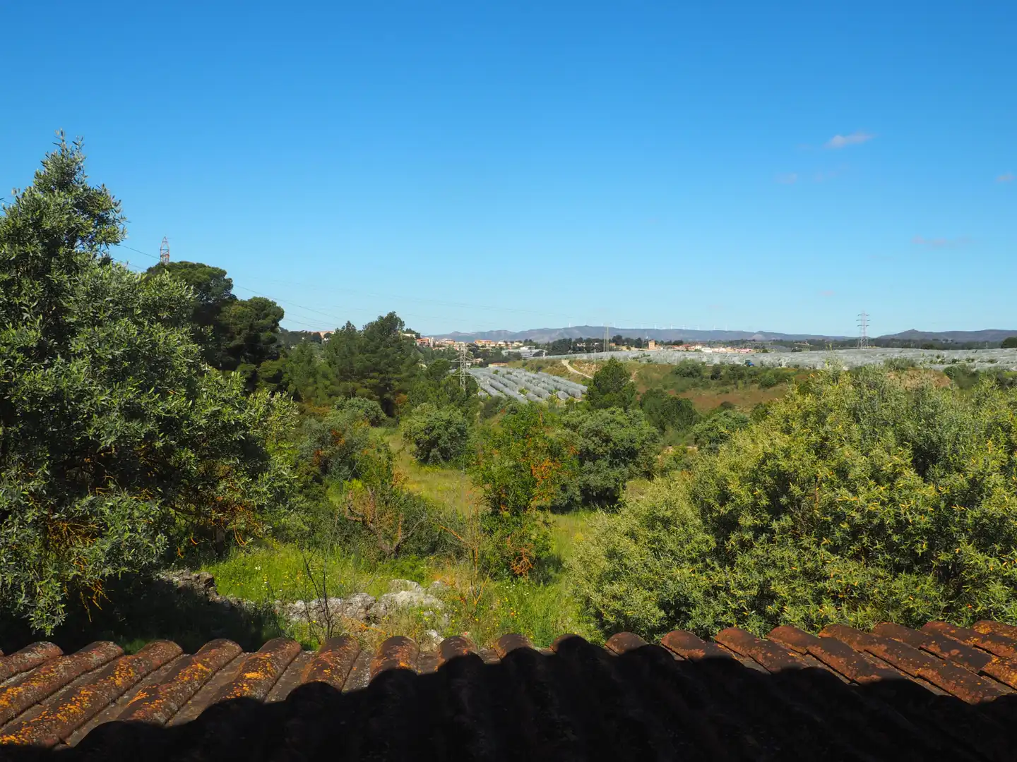 Terrain rustique à vendre à Avinguda Colònia 5, imagen 20