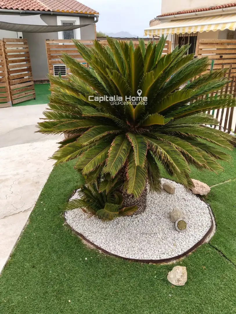 Houses for sale in Cañada, Alicante