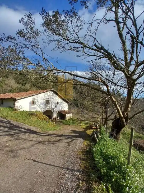 Exterior view of Flat for sale in Aulesti
