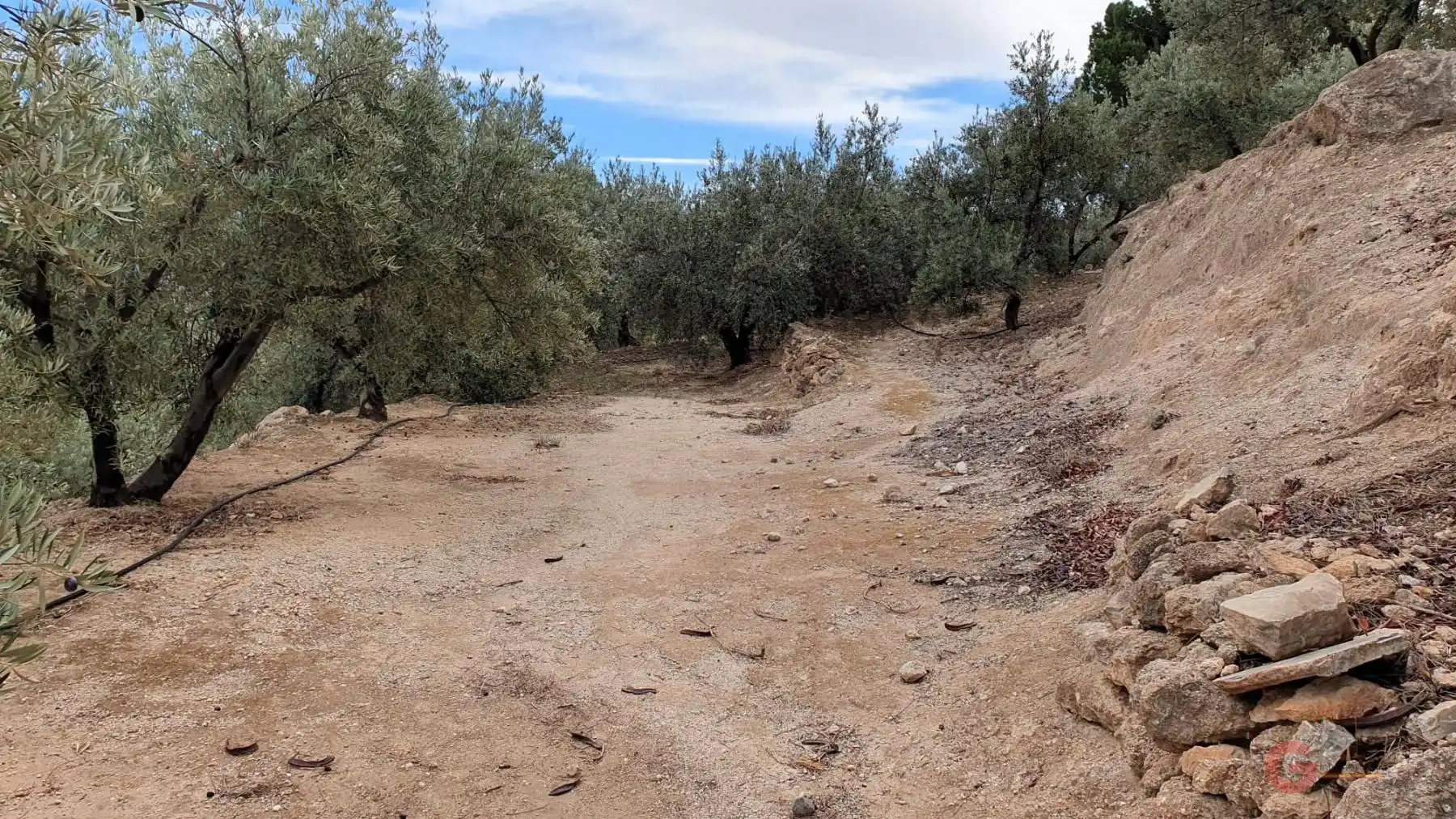 Terreni e lotti in vendita a El Pinar, imagen 8