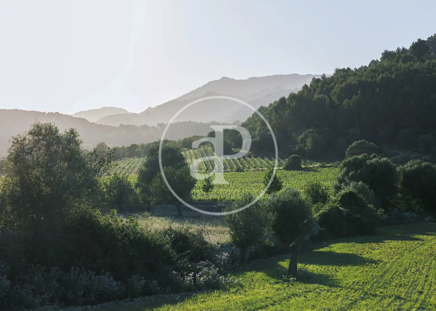 Exterior view of Houses for rent in Pollença  with Air Conditioner, Heating and Private garden