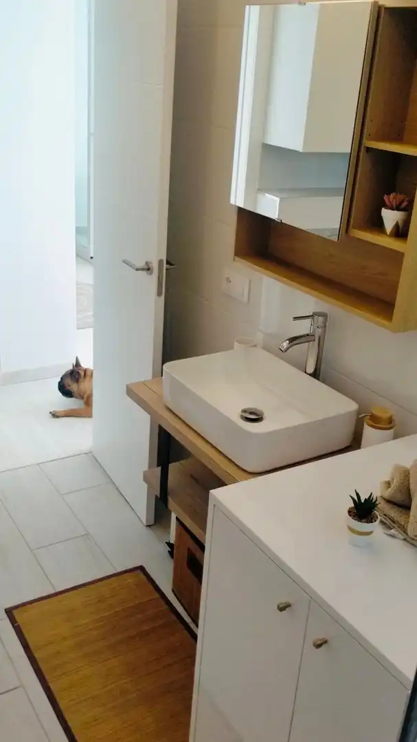 Flat with terrace for sale in Avenida Avenida Doctor Gregorio Marañón, imagen 22