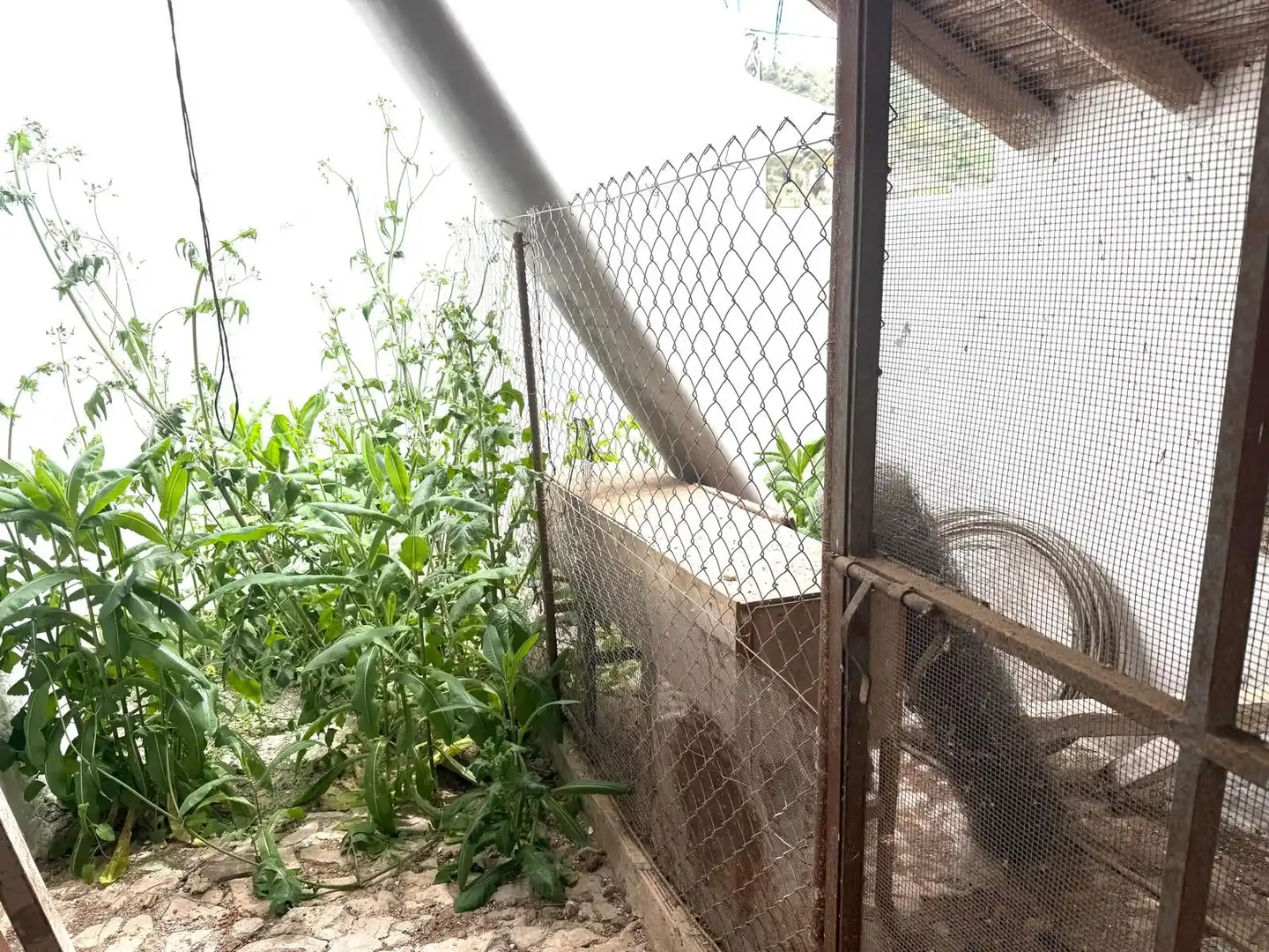 Casa rústica amb jardí en venda a Polígono poligono, imagen 49