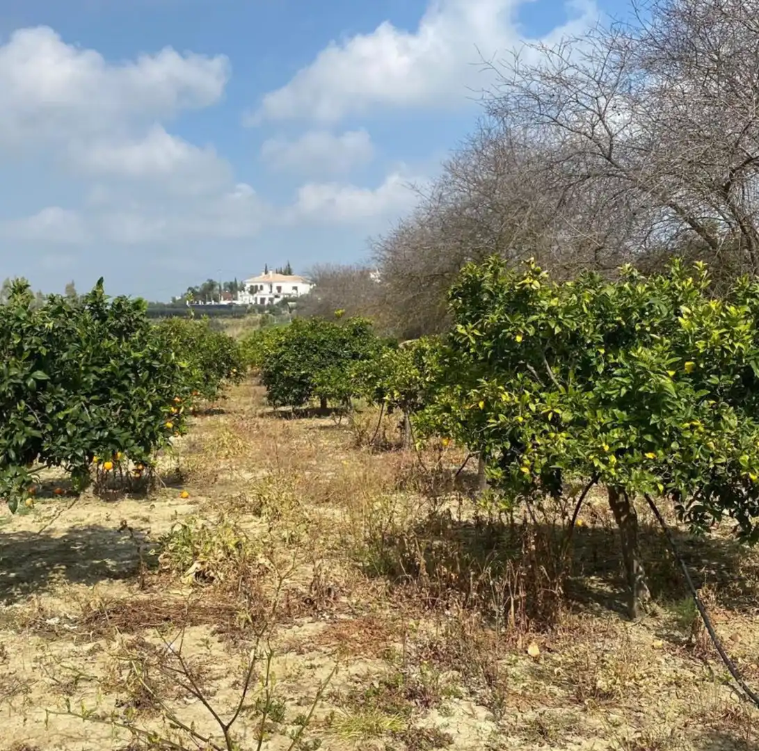Terreno rustico in vendita a Casalpalma - Fahala, imagen 3