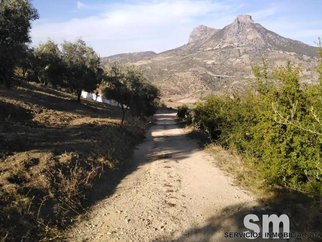 Terreno en venta en Zahara