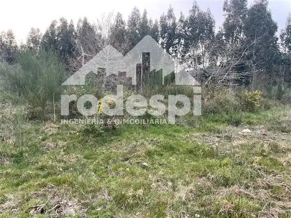 Terreny rústic en venda a A Cañiza, imagen 6