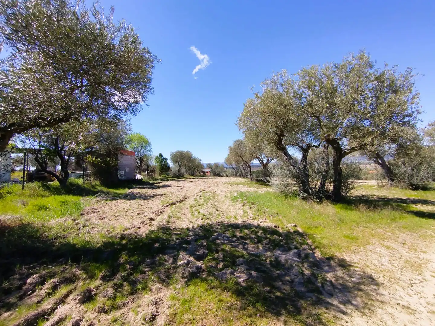 Land for sale in Escalona