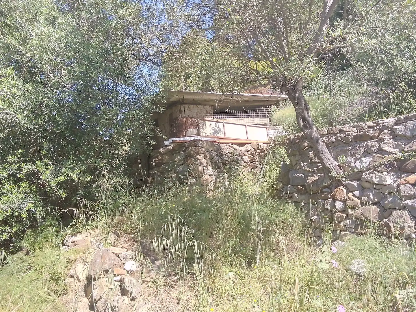 Exterior view of Houses for sale in Ubrique  with Private garden, Terrace and Balcony
