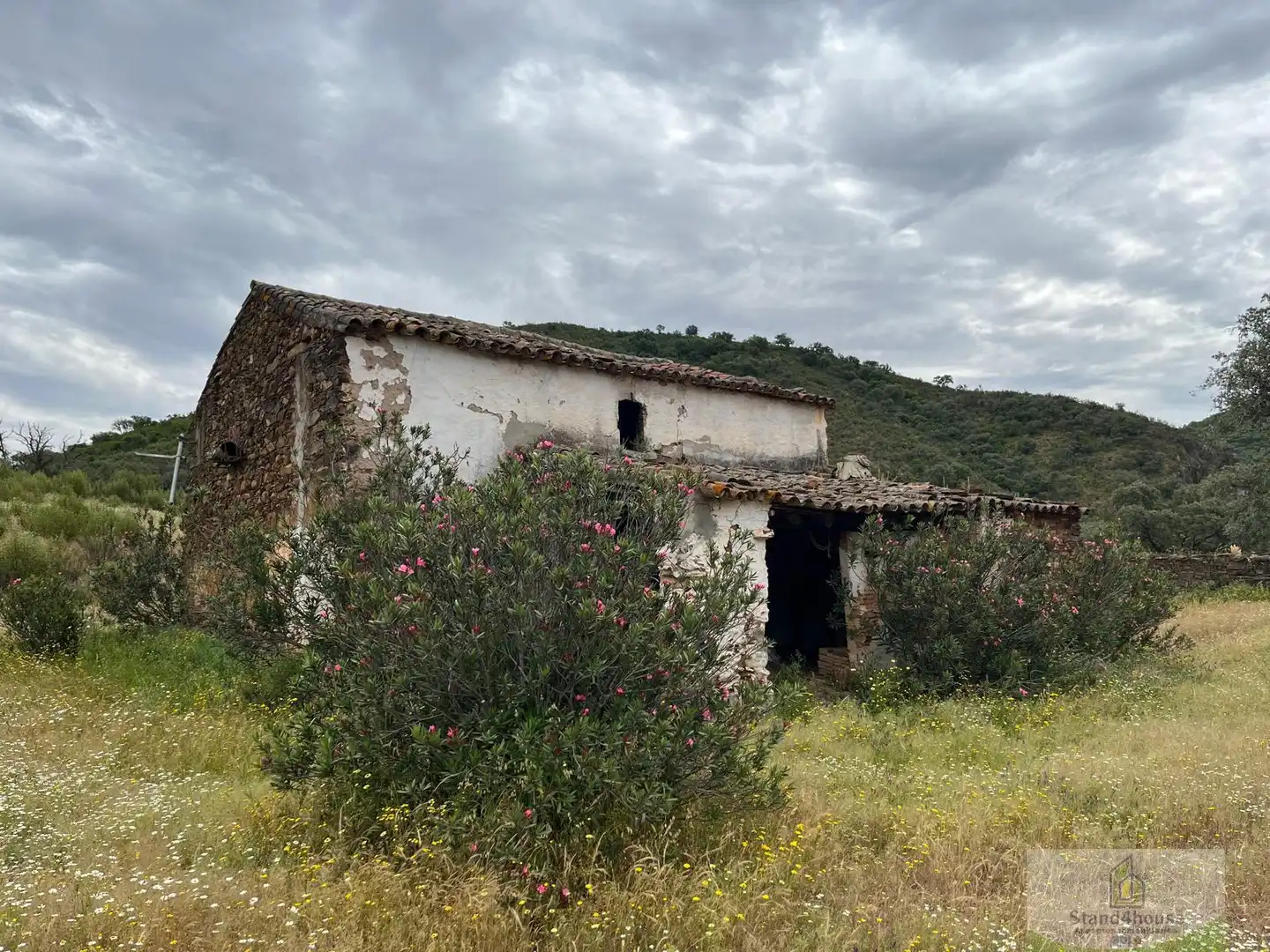 Vista exterior de Finca rústica en venta en Berrocal