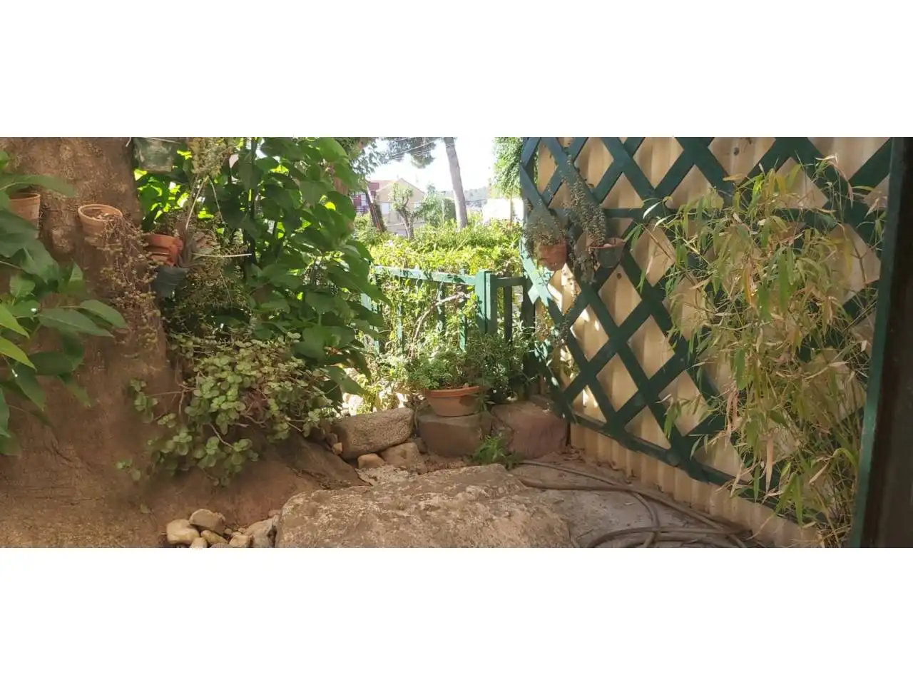Jardí de Casa o xalet en venda en Alcover amb Jardí privat i Terrassa