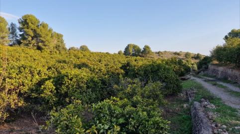 Foto 2 de Residencial en venta en Sumacàrcer, Valencia