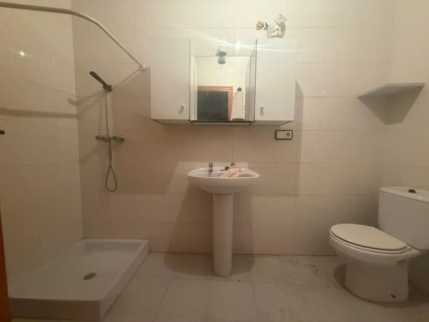 Baño de Finca rústica en venta en Almoradí con Trastero