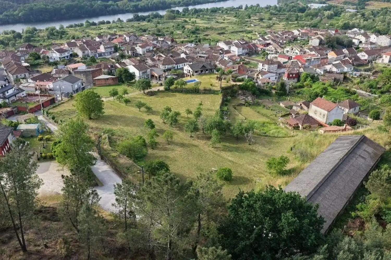 Land for sale in Ribadavia