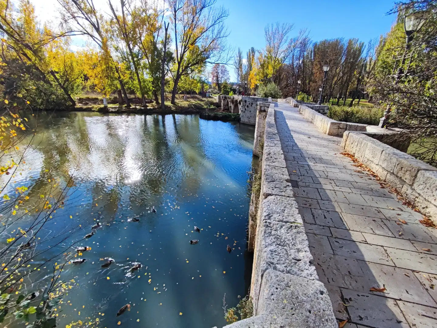 Vista exterior de Piso en venta en Palencia con Calefacción, Terraza y Horno