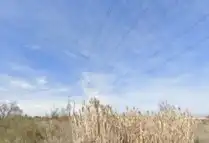 Terreny rústic en venda a C/ Paraguay, imagen 6
