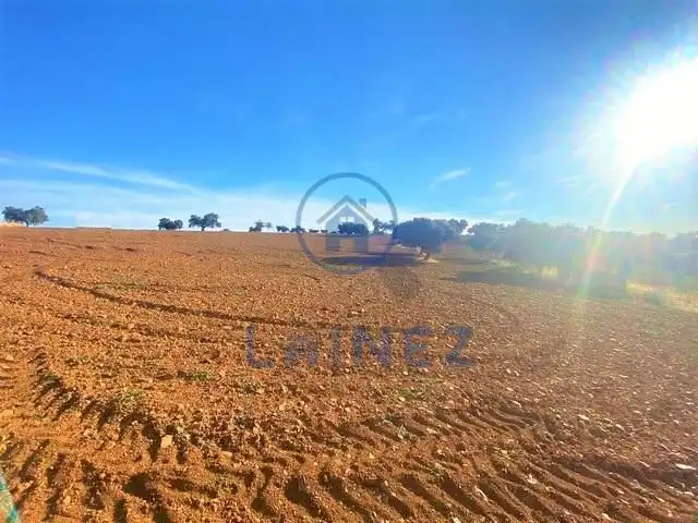 Lands and plots for sale in Fuente Obejuna
