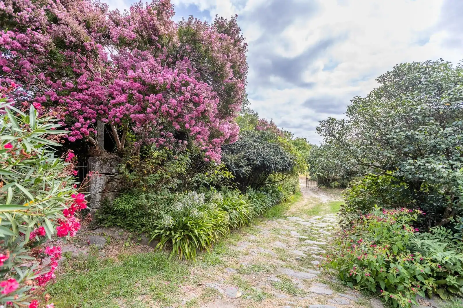 Chalet en venta en Vedra, imagen 3
