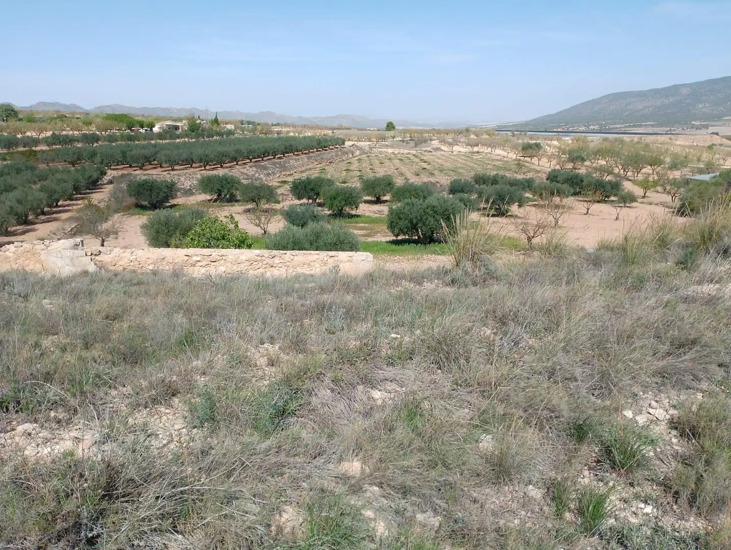 Finca rústica en venda en Yecla