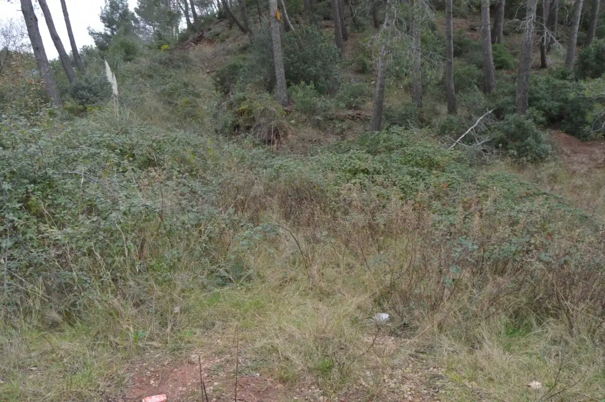 Terreni e lotti in vendita a Corbera de Llobregat, imagen 8