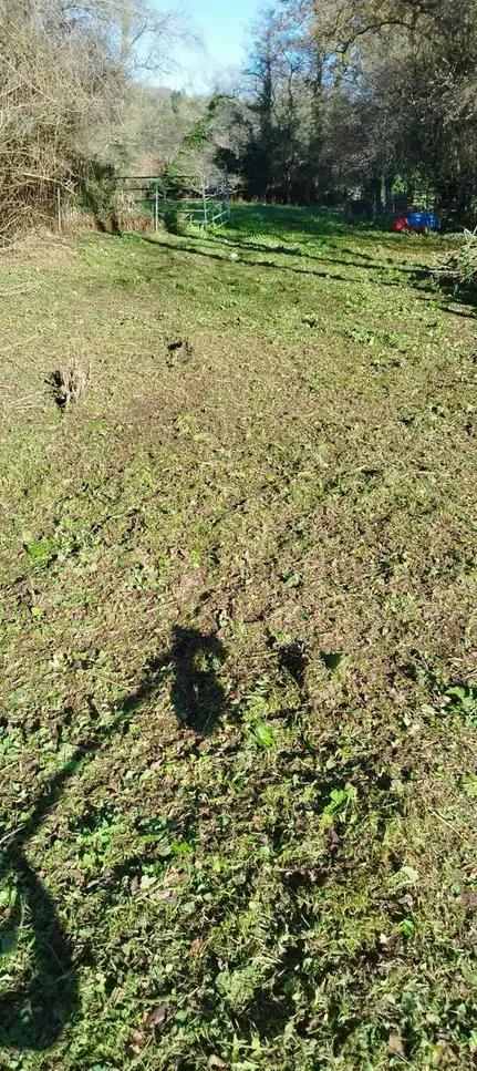 Lands and plots for sale in Aldea la Cangueta, imagen 21