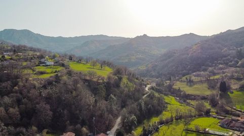 PRECIOSA Y SOLEADA FINCA RODEADA DE NATURALEZA EN BIMENES, A NADA DE NAVA LA COMARCA DE LA SIDRA Y PRINCIPALES CIUDADES, immagine 2