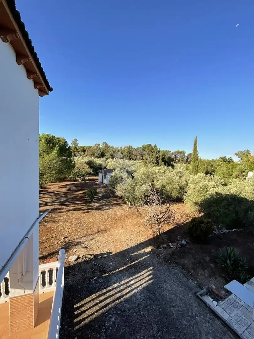 Jardín de Finca rústica en venta en Linares con Piscina