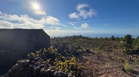 Photo 4 of Country house for sale in Cruz de Tea, Santa Cruz de Tenerife
