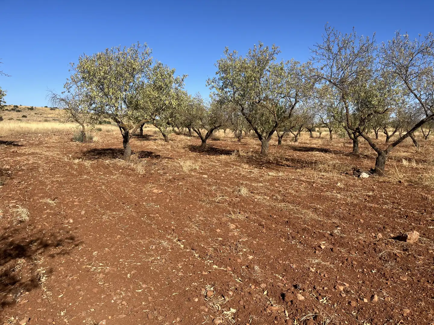 Rustikales Grundstück zum Verkauf in Avenida de Andalucía, imagen 6