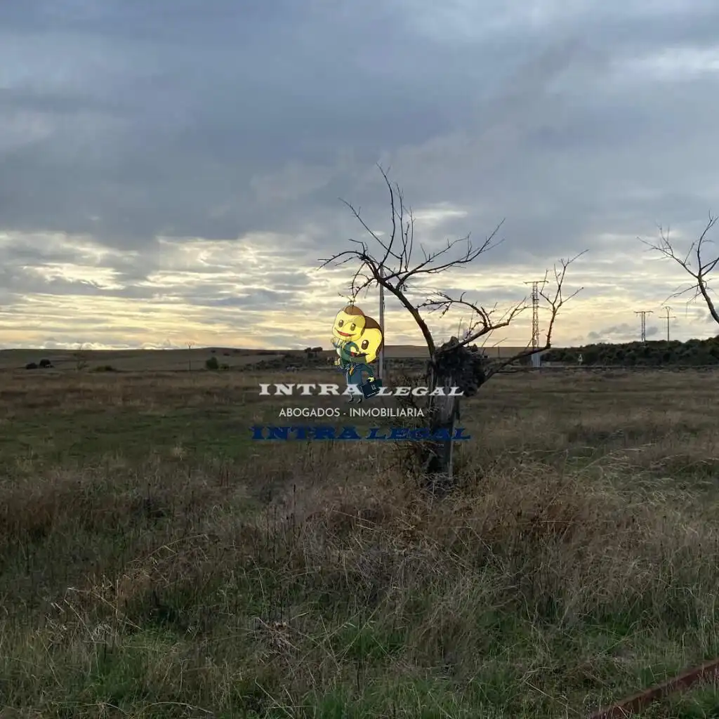 Land for sale in Miranda de Azán