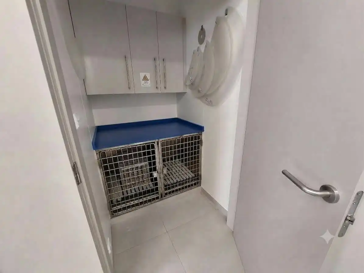 Local comercial en venta en Les Torres, imagen 6