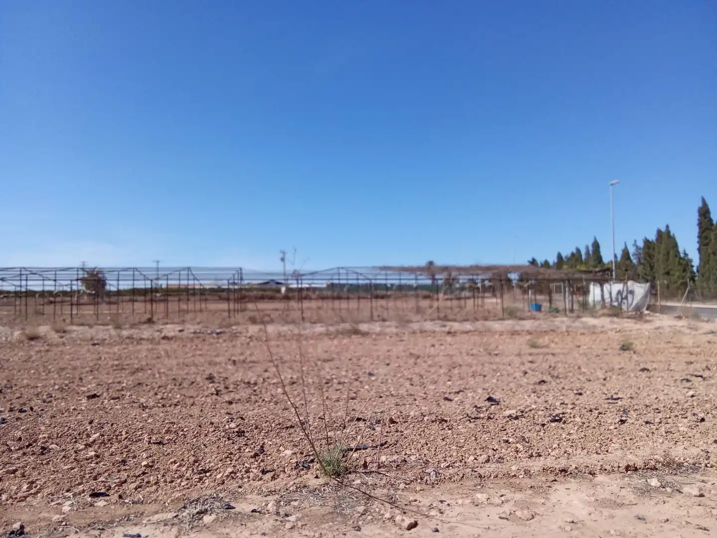 Terreni e lotti in vendita a Pilar de la Horadada ciudad, imagen 5