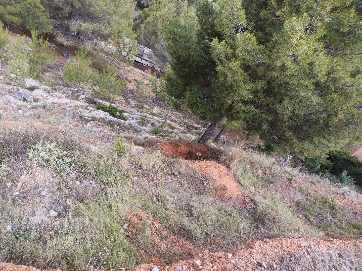 Lands and plots for sale in Borriol, imagen 3
