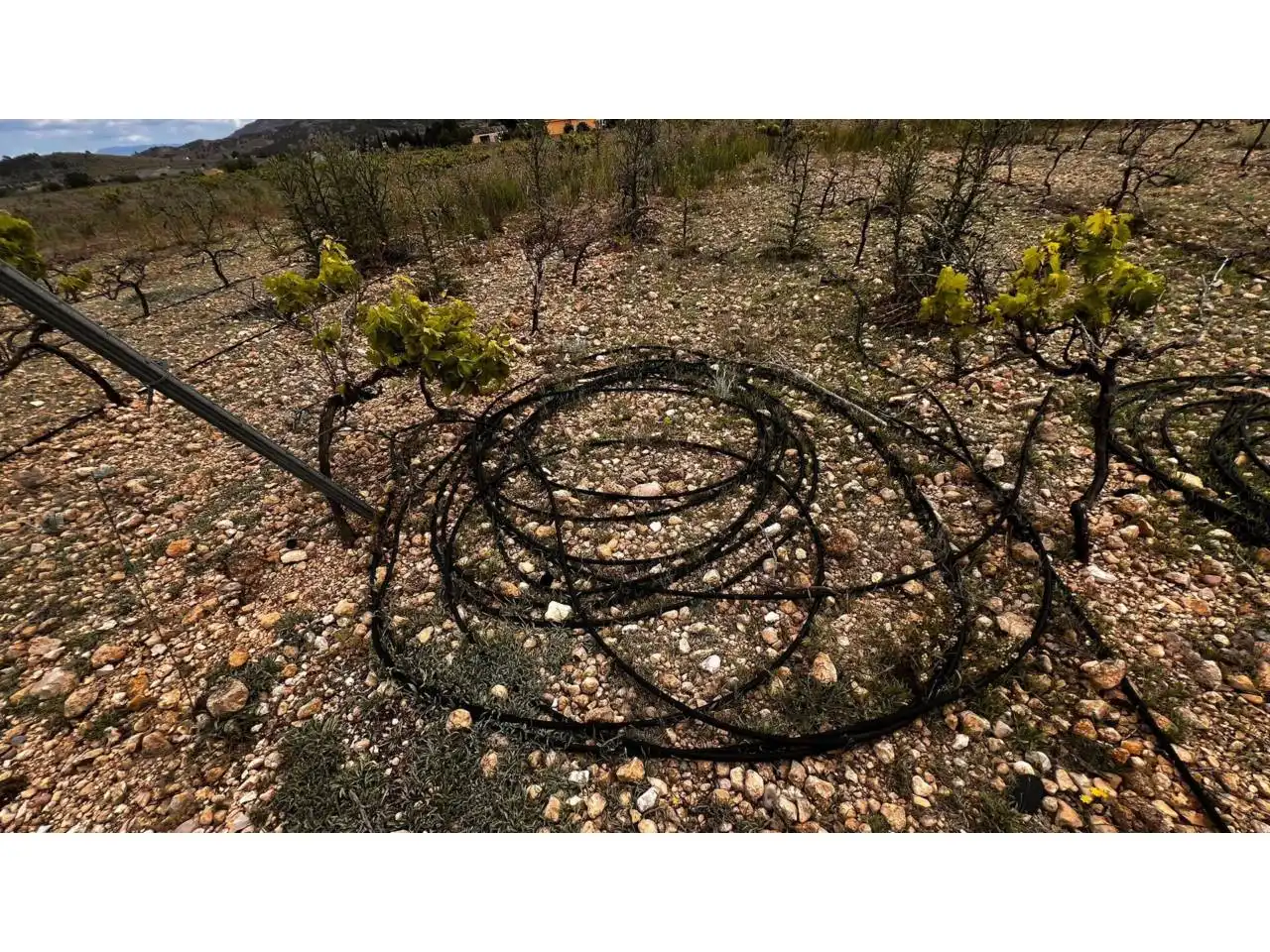 Rustikales Grundstück zum Verkauf in Caudete, imagen 10
