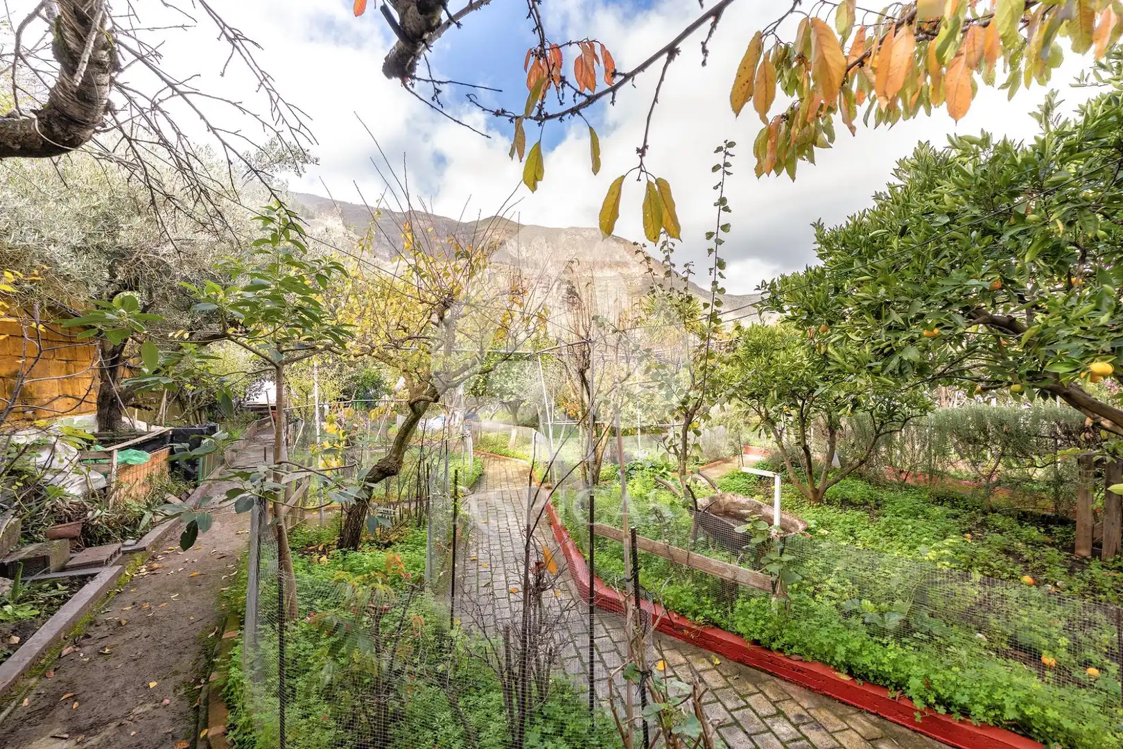 Casa rústica amb jardí en venda a Calle Los Parrales 12, imagen 25